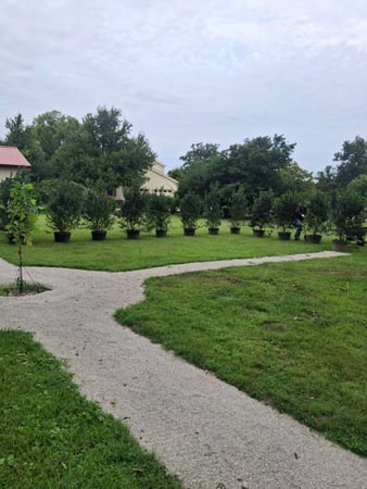 Images J&Z Robledo Landscaping LLC
