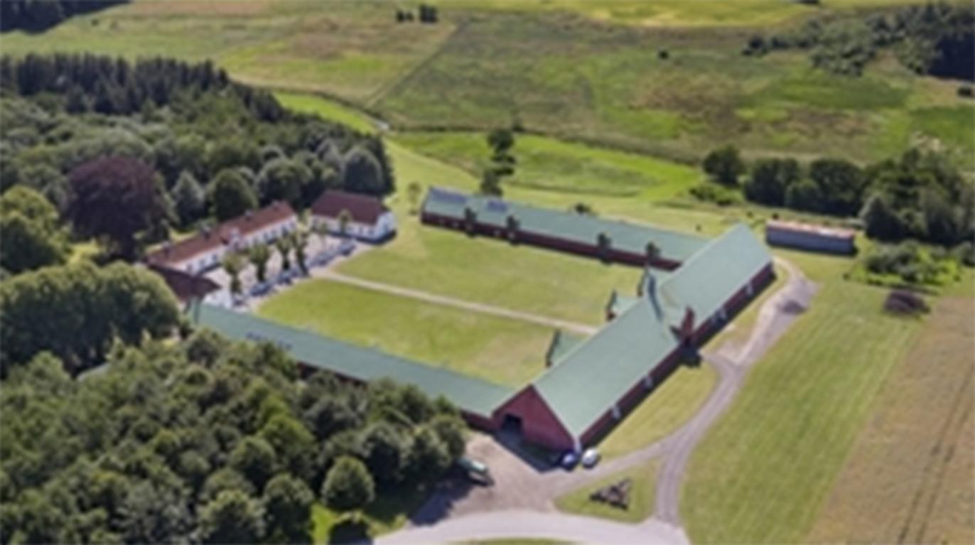 Images Ejendomsmæglerfirmaet Evald Borup I/S