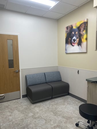 Images VCA Mount Kisco Veterinary Clinic