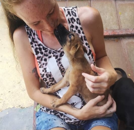 PAWtner Hundetraining Sabrina Rösch, Am Tiefenbach 10 in Ilsfeld