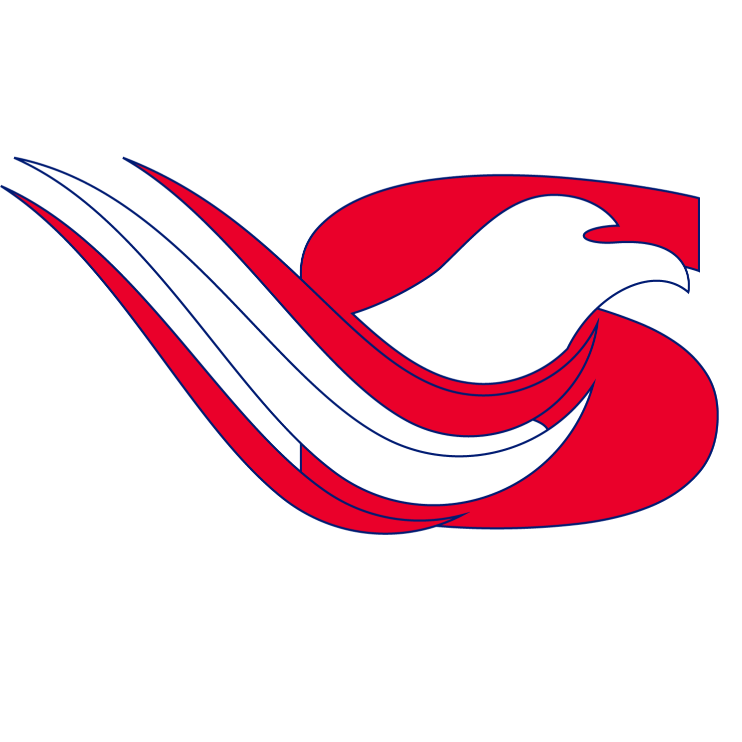 Super Eagle Auto Care