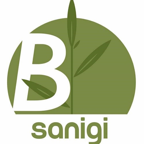 Logo Sanigi Naturheilpraxis Yvonne Bayer