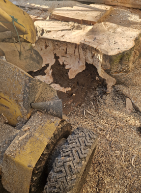 Stump removal
Stump grinding
