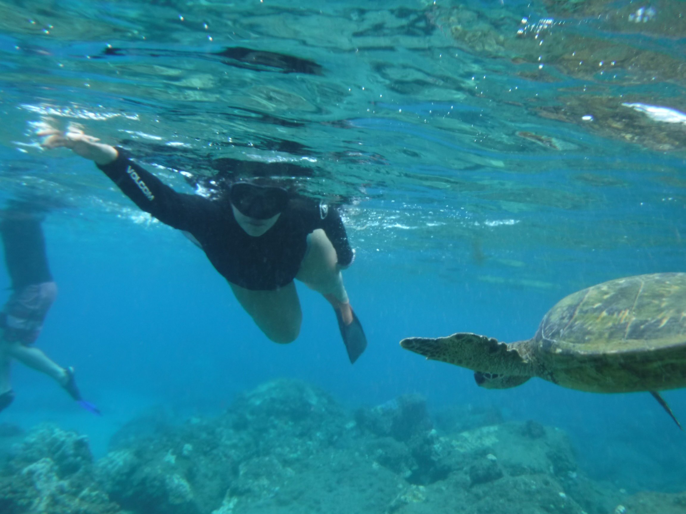 Image 9 | Maui Island Surf and Snorkel