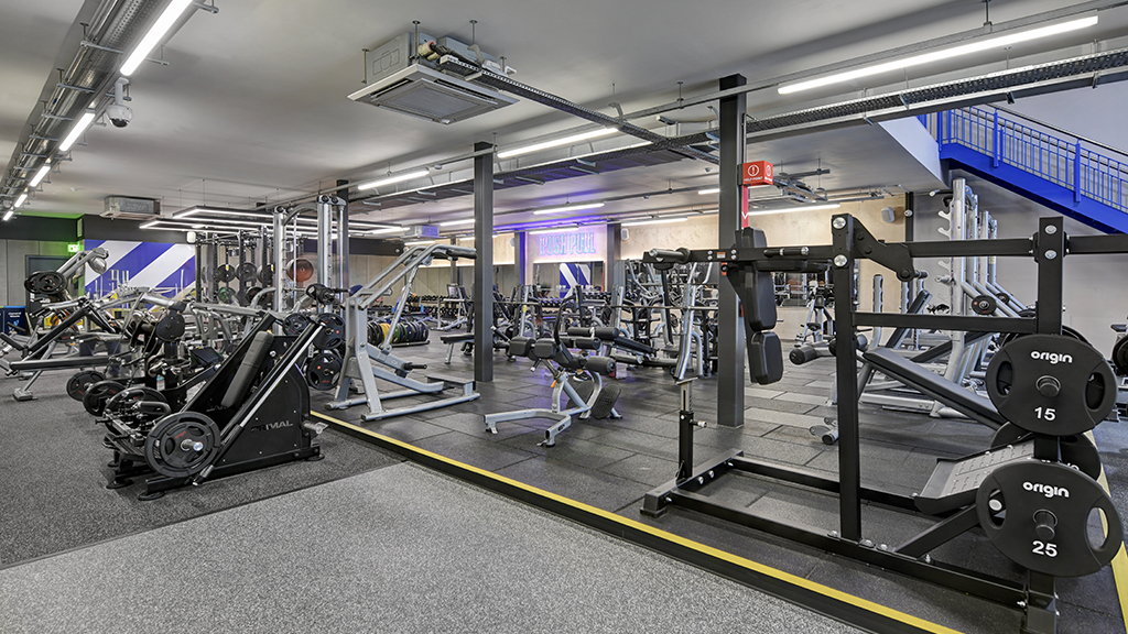 Free Weights Area