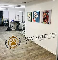 Paw Sweet Paw | Pet Hotel Photo