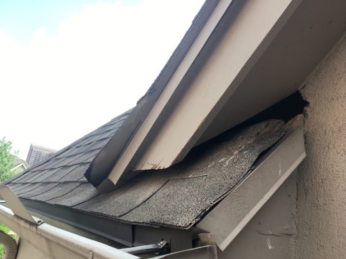 Images Mayan Pest Control