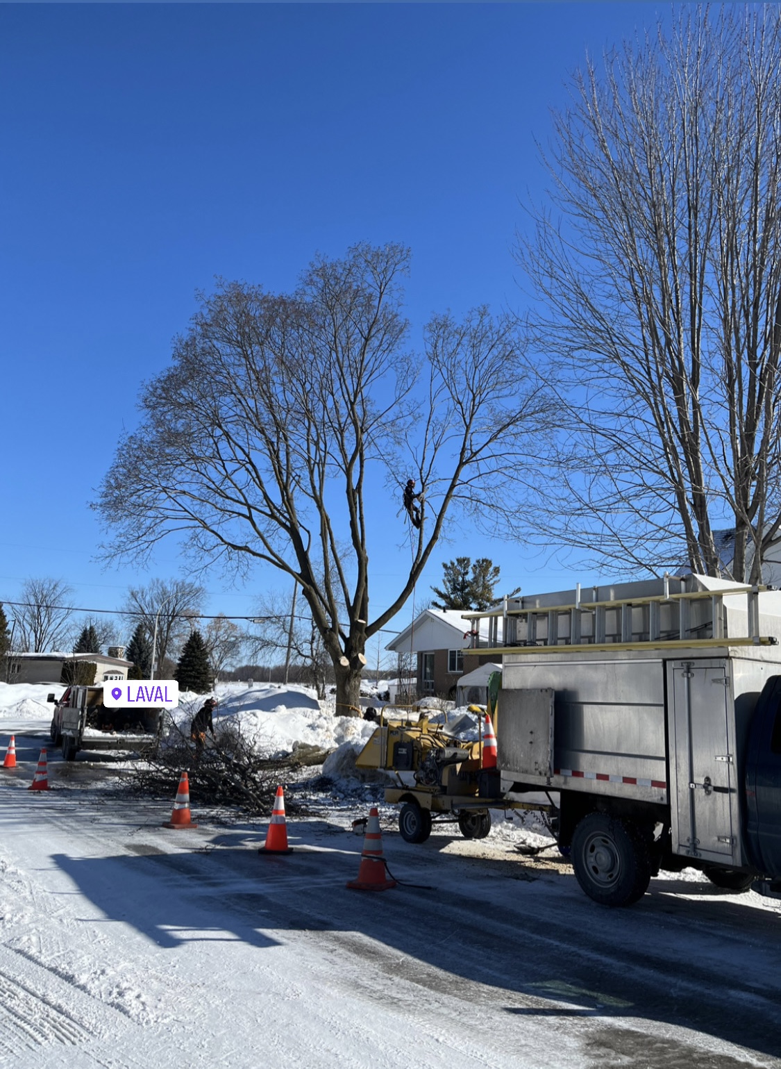 Images Service Entretien Arbres PL - Élagueur