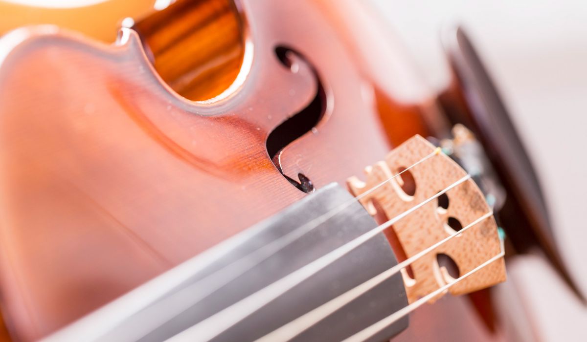 Bestattungshaus Ditscheid, Hoppegartener Straße 2 in Köln