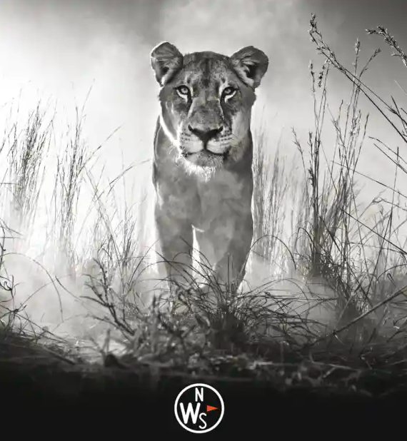 Images Natural World Safaris Ltd