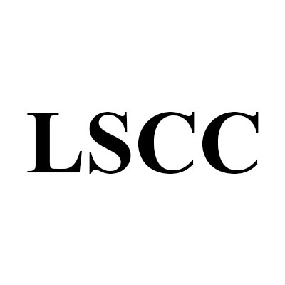 Little Star Child Care Logo