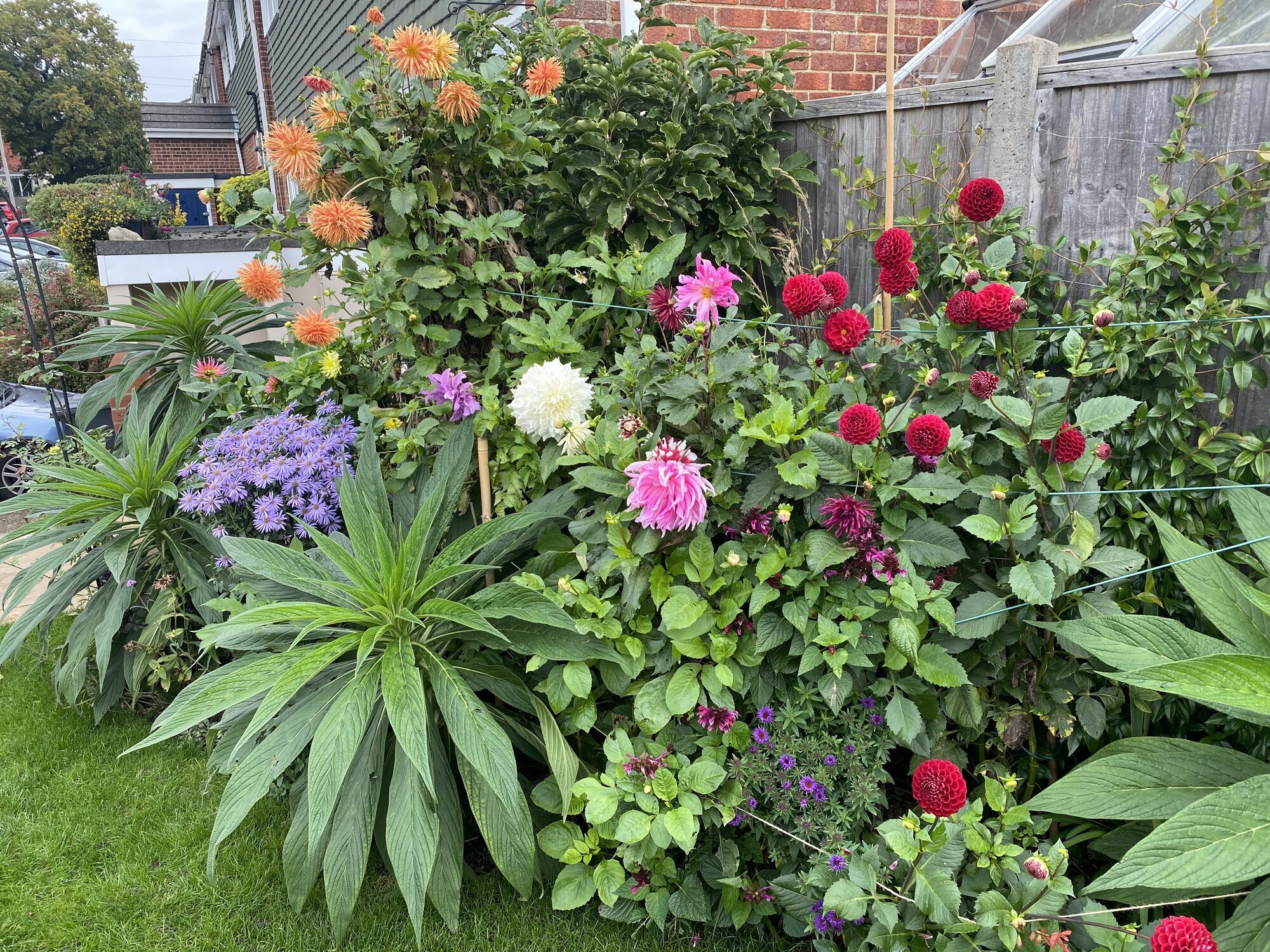 Images Steve Dean Gardening