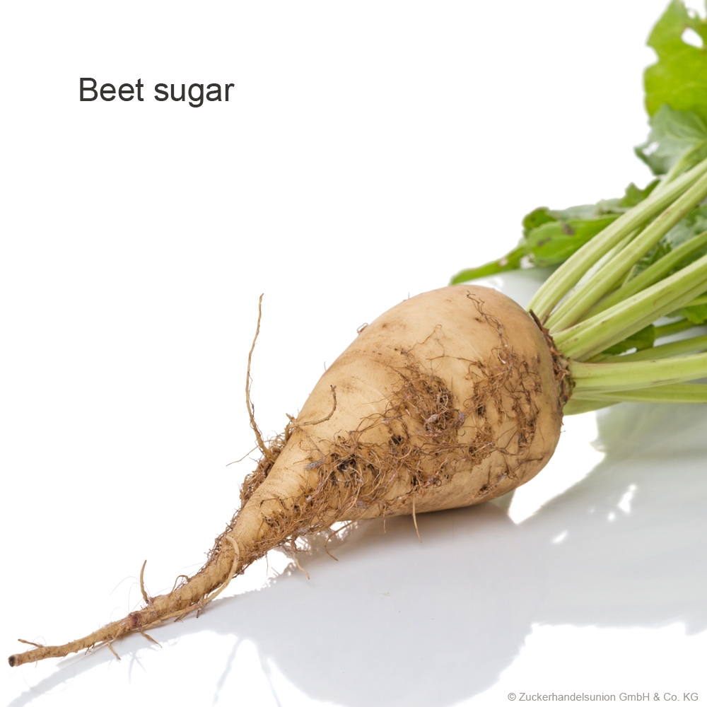 Zuckerhandelsunion GmbH & Co. KG, Schlesische Strasse 38 in Berlin