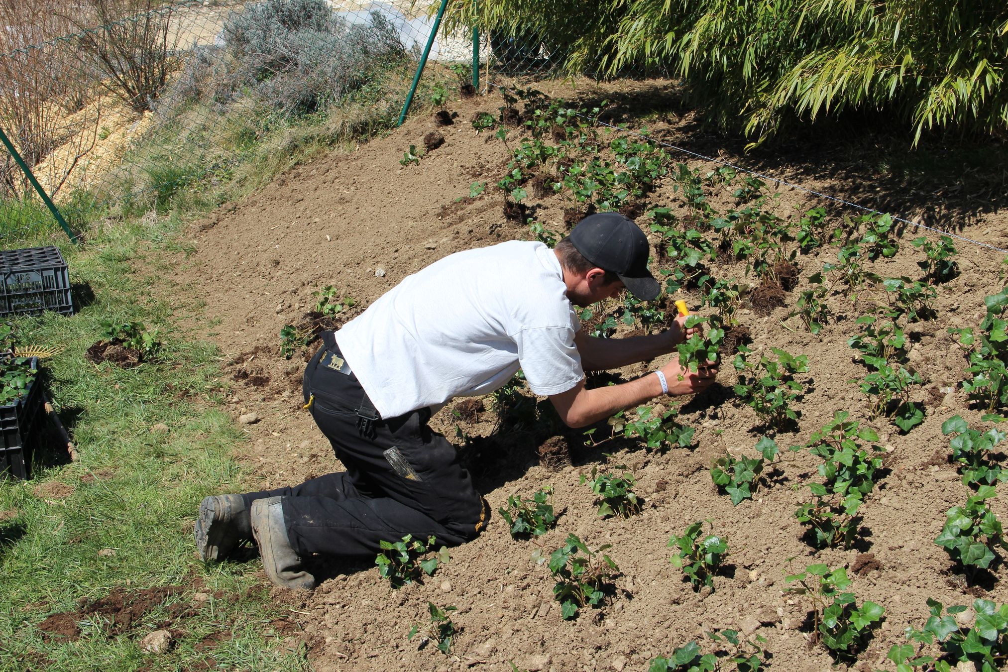 Bilder Tim Schmid Paysages