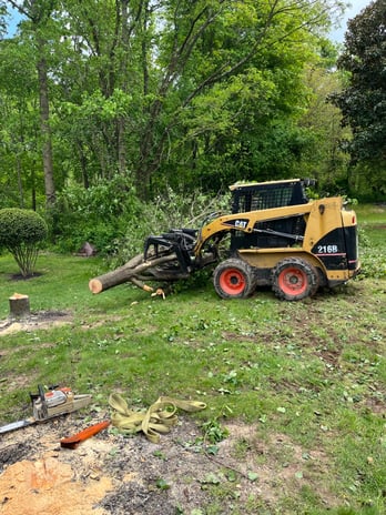 Images Fine Cut & Trim