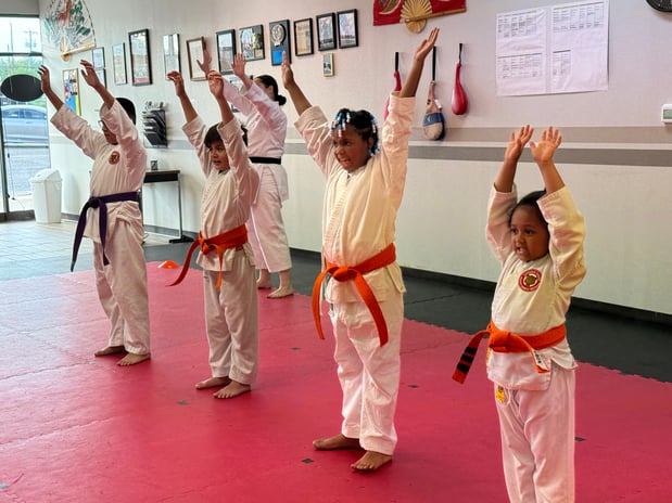 Images Jaguar Dojo
