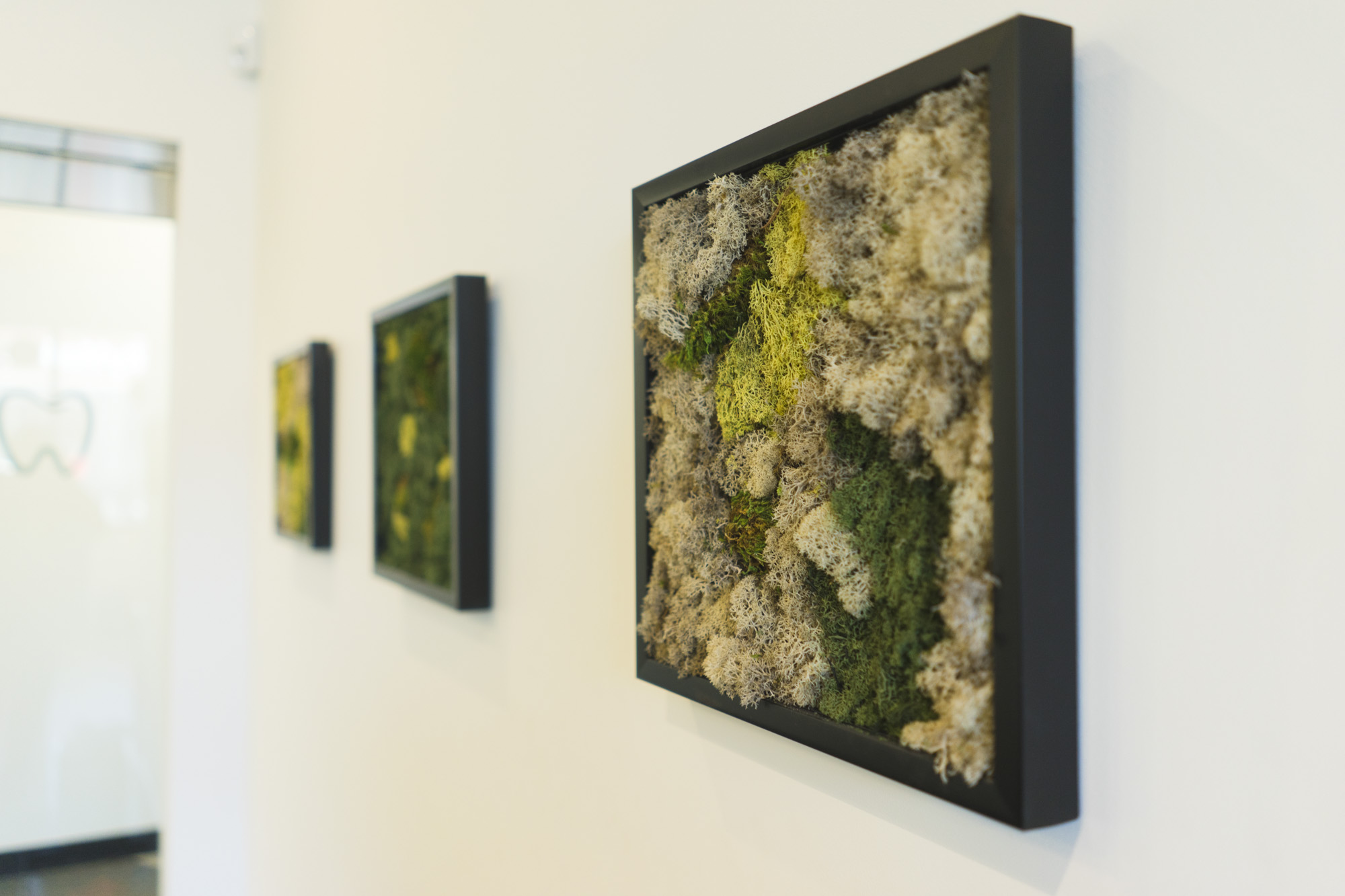 Images Oliver Park Dental