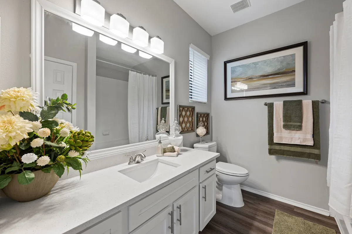 Modern Bathroom 