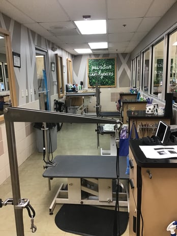 Images Petco Grooming