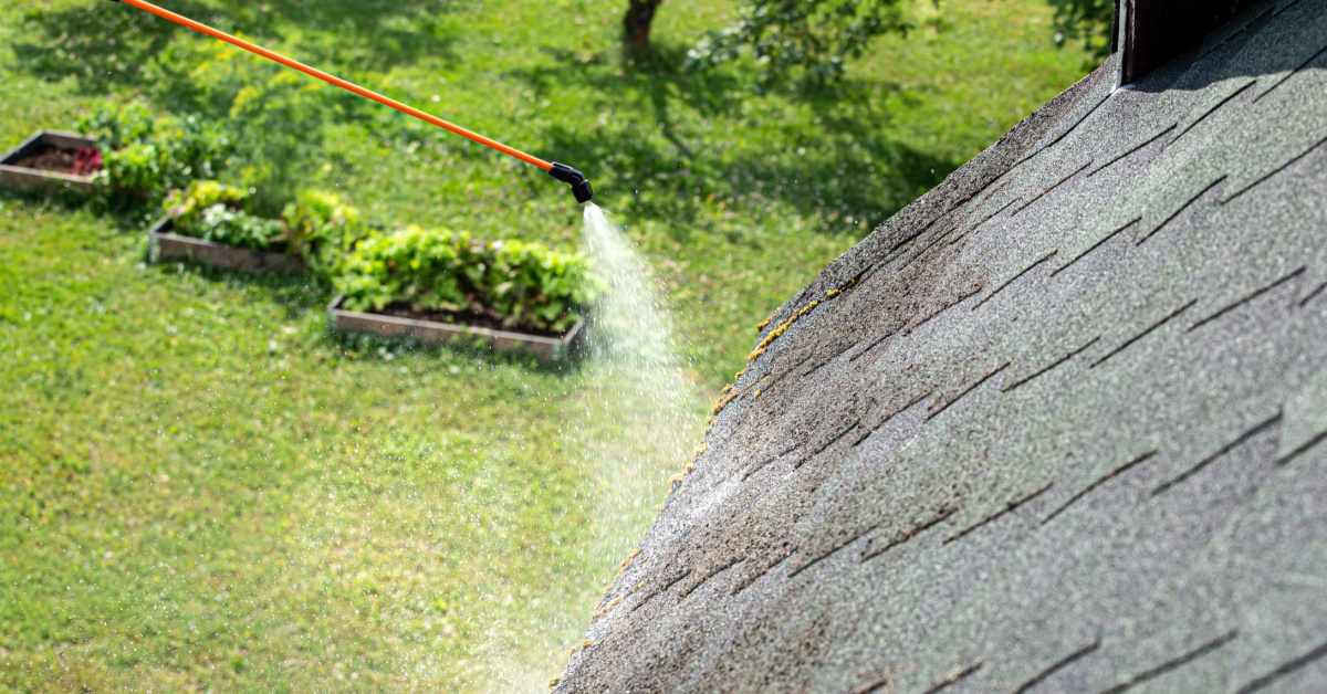 Soft pressure washing to eliminate Gloeocapsa Magma