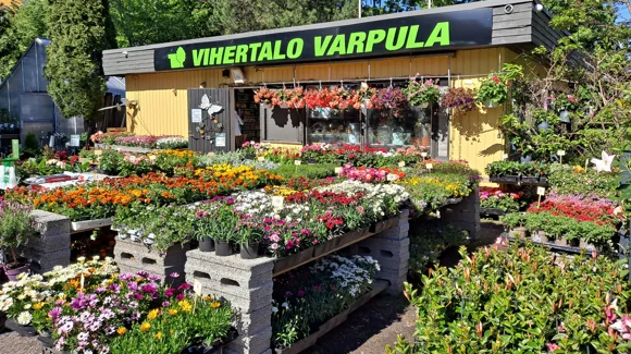Images Vihertalo Varpula Oy