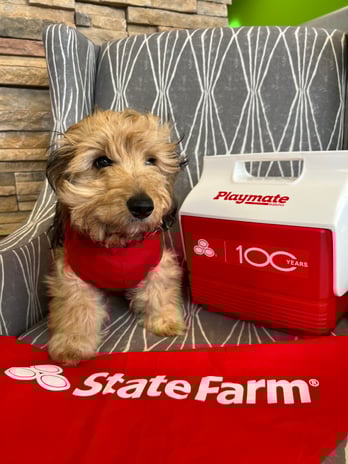 Images Teresa Mader - State Farm Insurance Agent