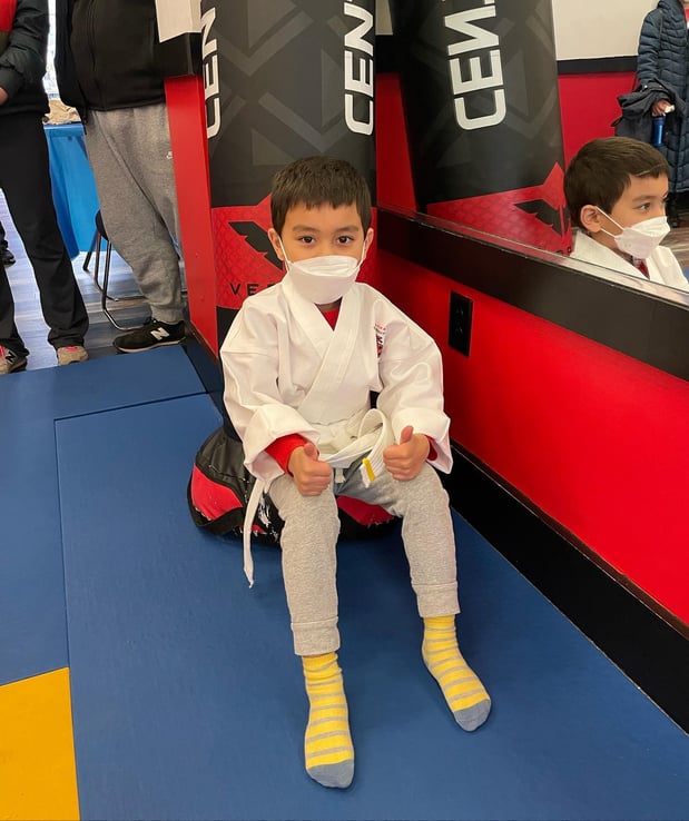 Images SDSS Martial Arts of Newton