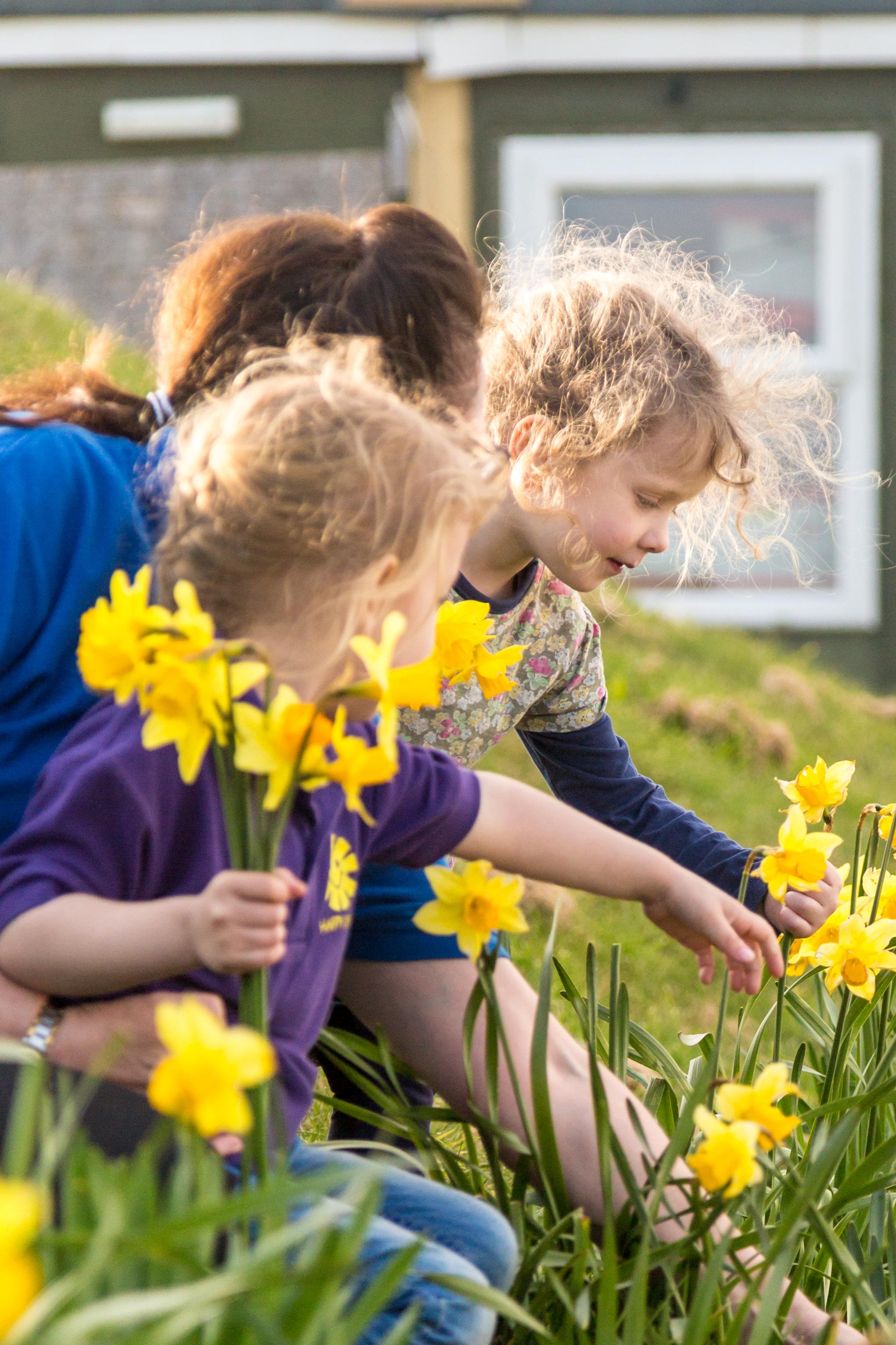 Images Happy Days Nursery & Preschool, Summercourt