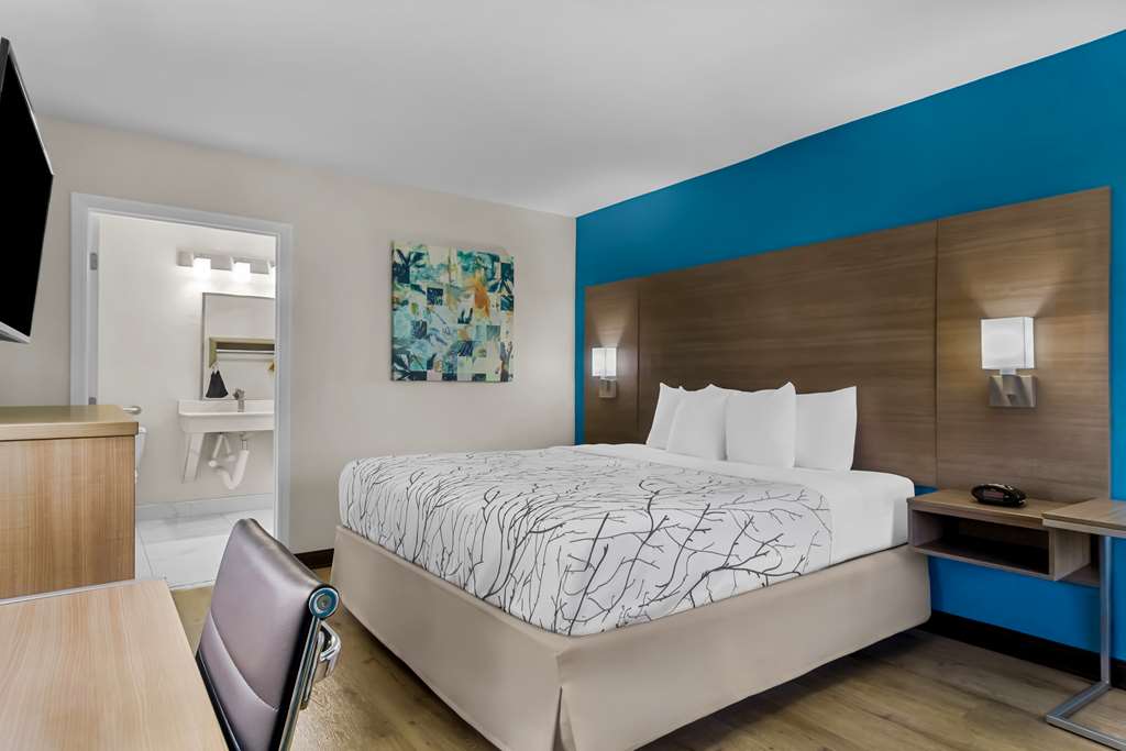 ACC King Guest Room