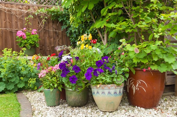 Images Hawkins Landscape Supply