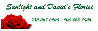 Sunlight & David's Florist