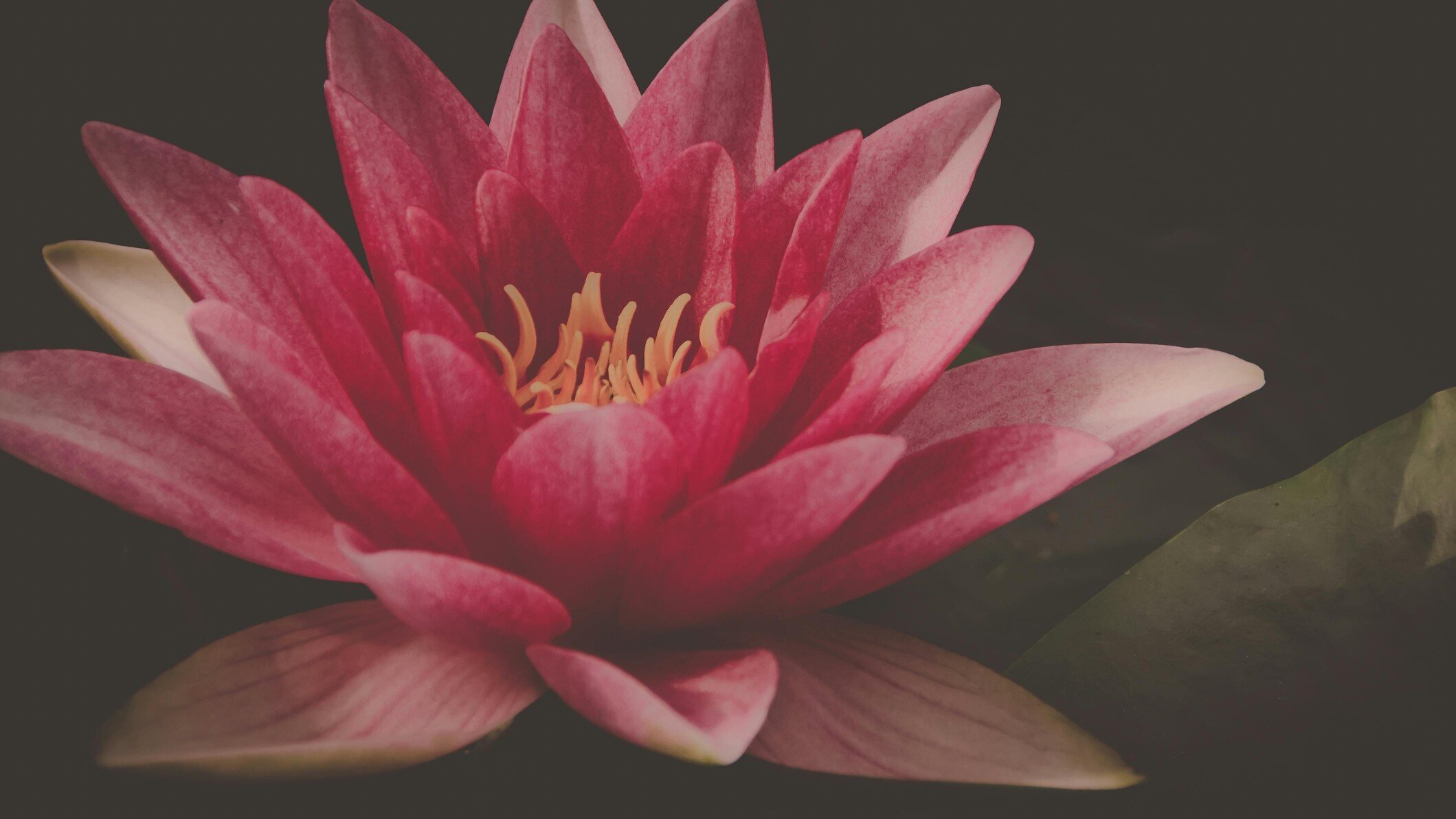 Sportphysiotherapeutin / Psychologische Beratung, Im Teelbruch 84 in Essen