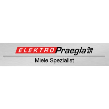 Elektro Praegla GmbH in Delmenhorst - Logo