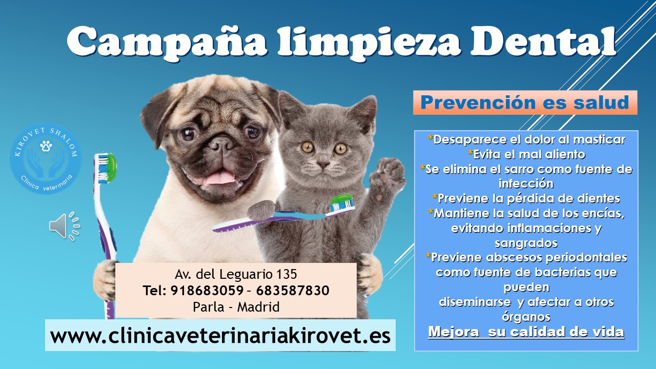 Images Clínica Veterinaria Kirovet Shalom S.L.