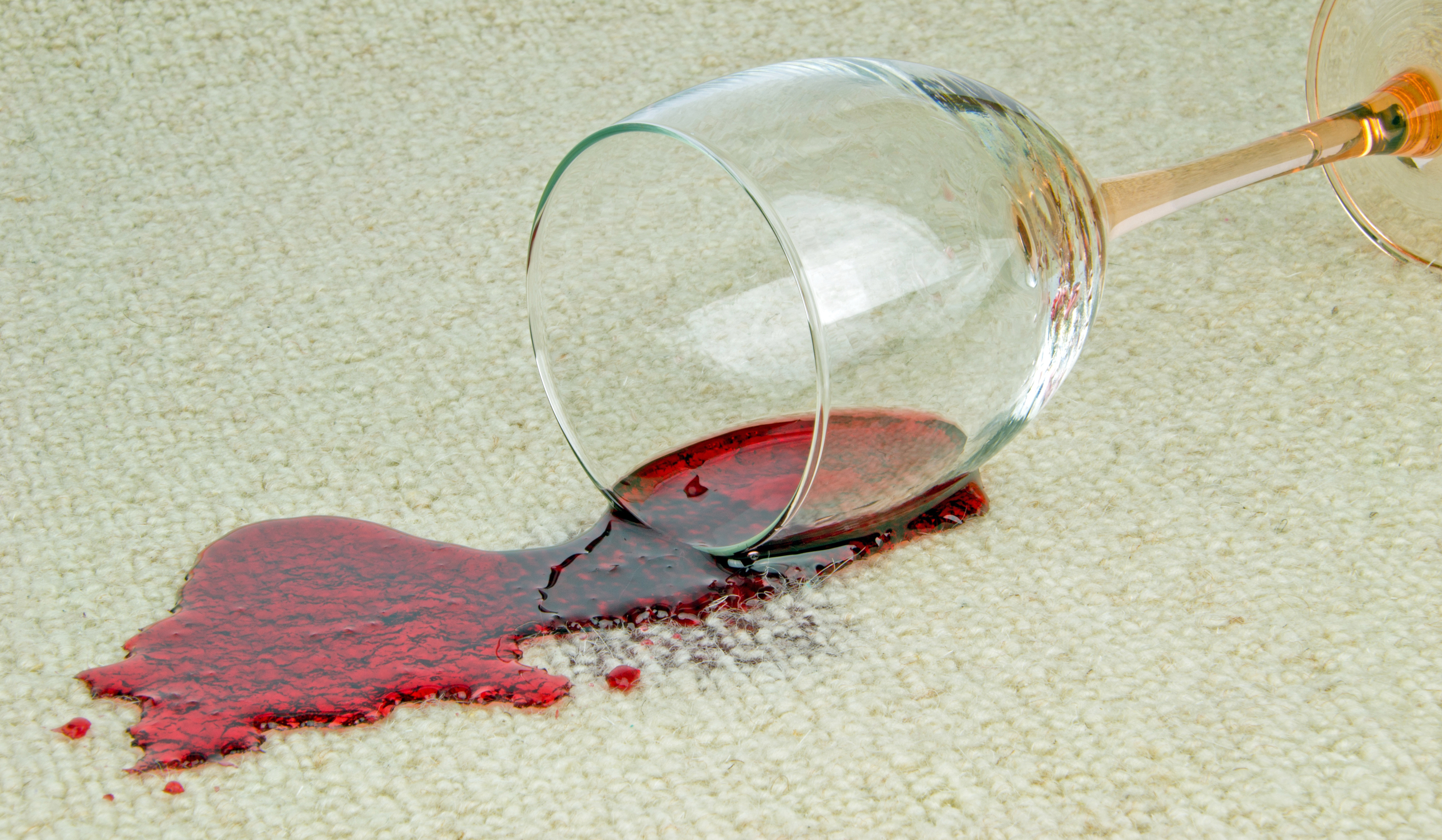 South Miami Carpet Cleaners
