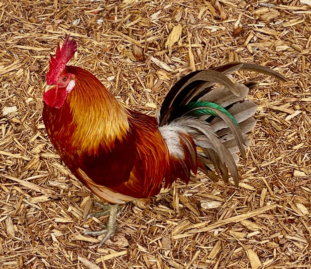 Images Brent Maudlin - State Farm Insurance Agent