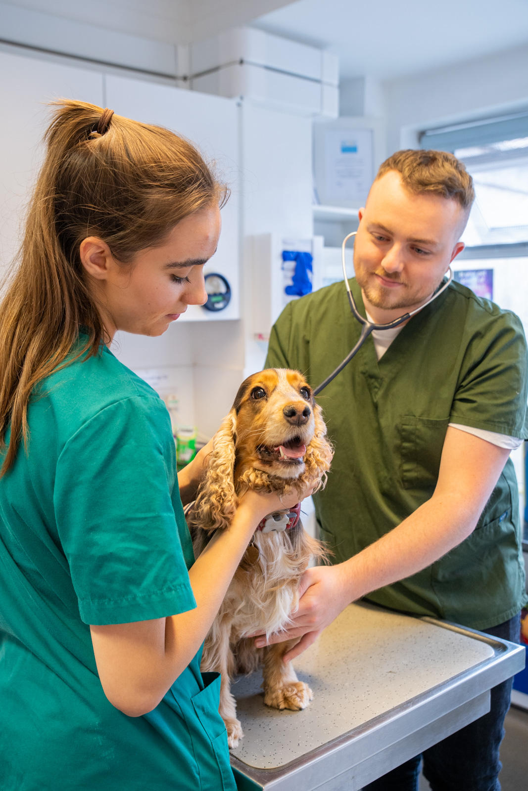 Images Southfields Veterinary Surgery