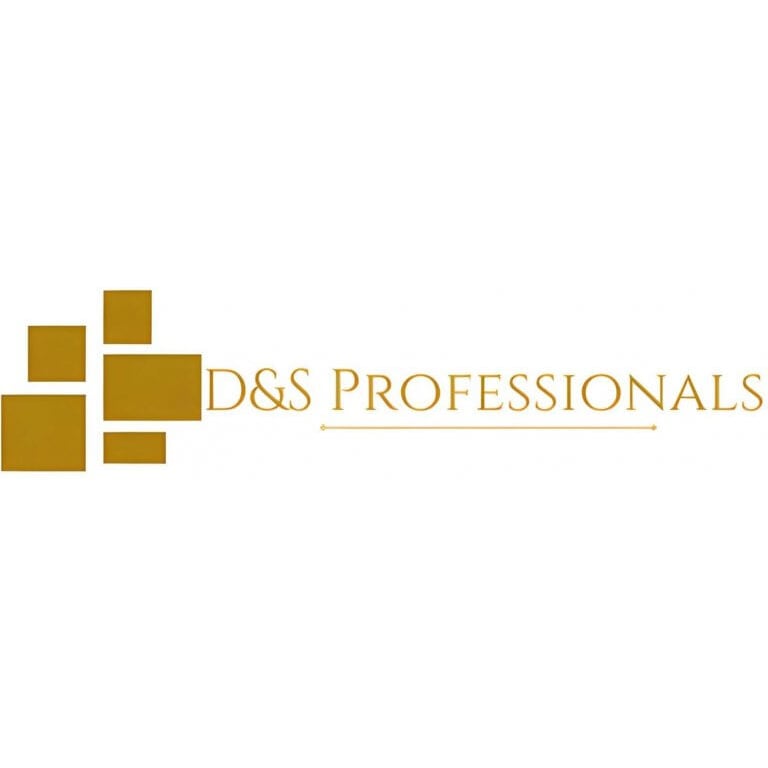 D&S Professionals in Karlsruhe - Logo