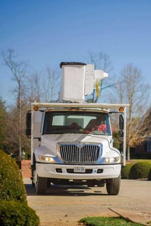 Images Blazer Tree Service
