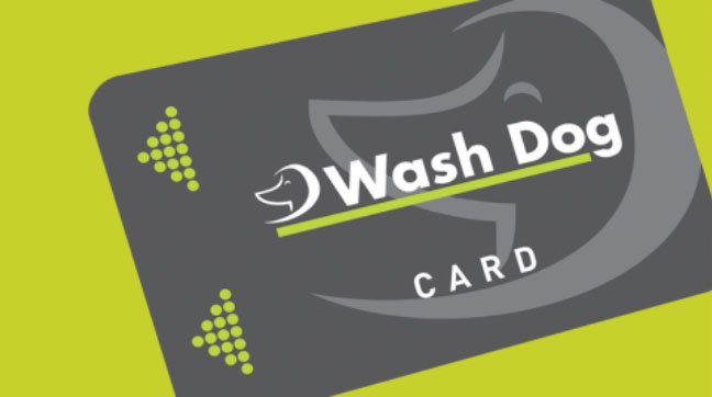 Images Wash Dog Bressanone