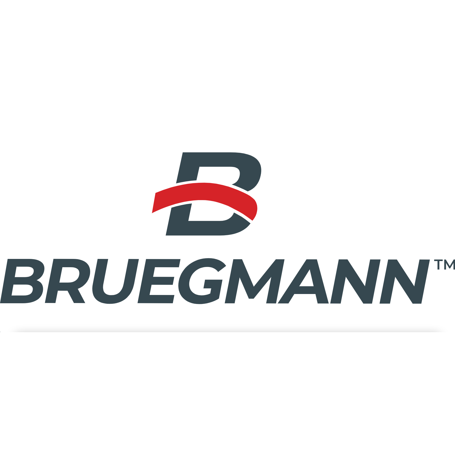 Bruegmann GmbH & Co. KG Logo