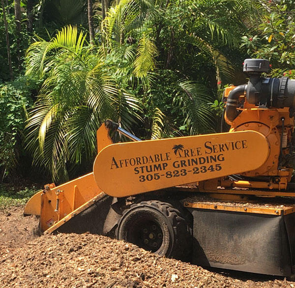 Stump Grinding Fort Lauderdale