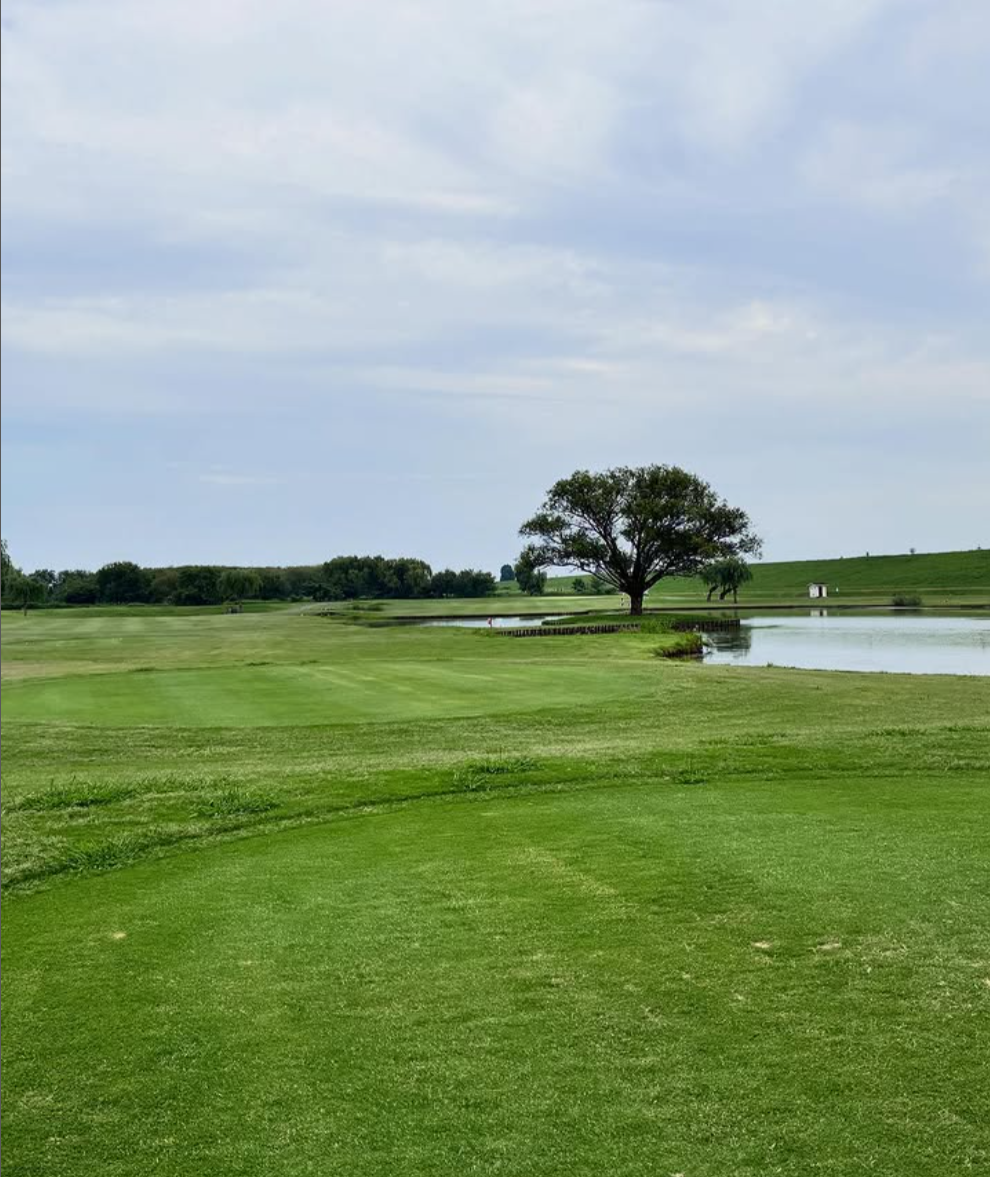 Images VZONEGOLF
