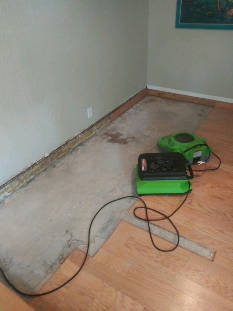 SERVPRO of Northeast Dallas Photo