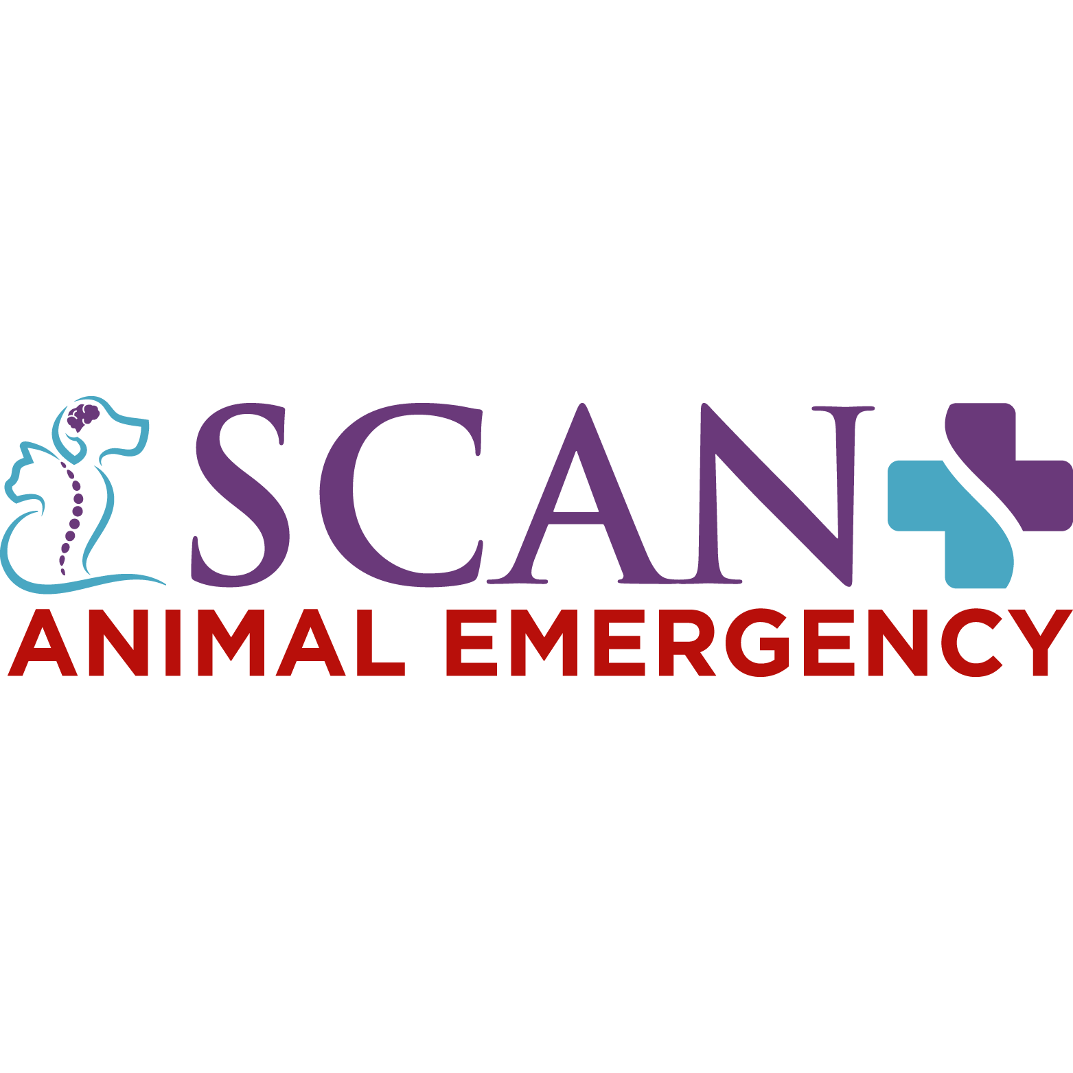 Specialists in Companion Animal Neurology (SCAN) - Clearwater