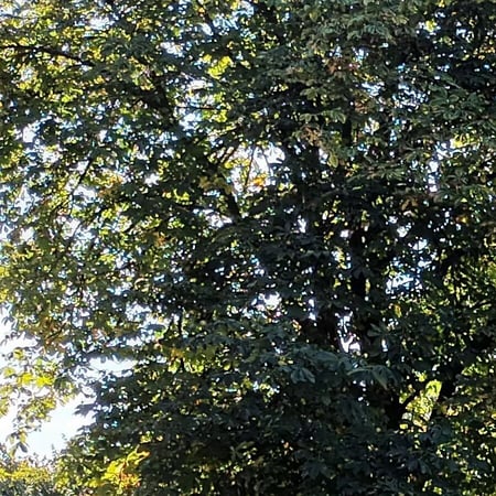Bilder Hof Mindrup