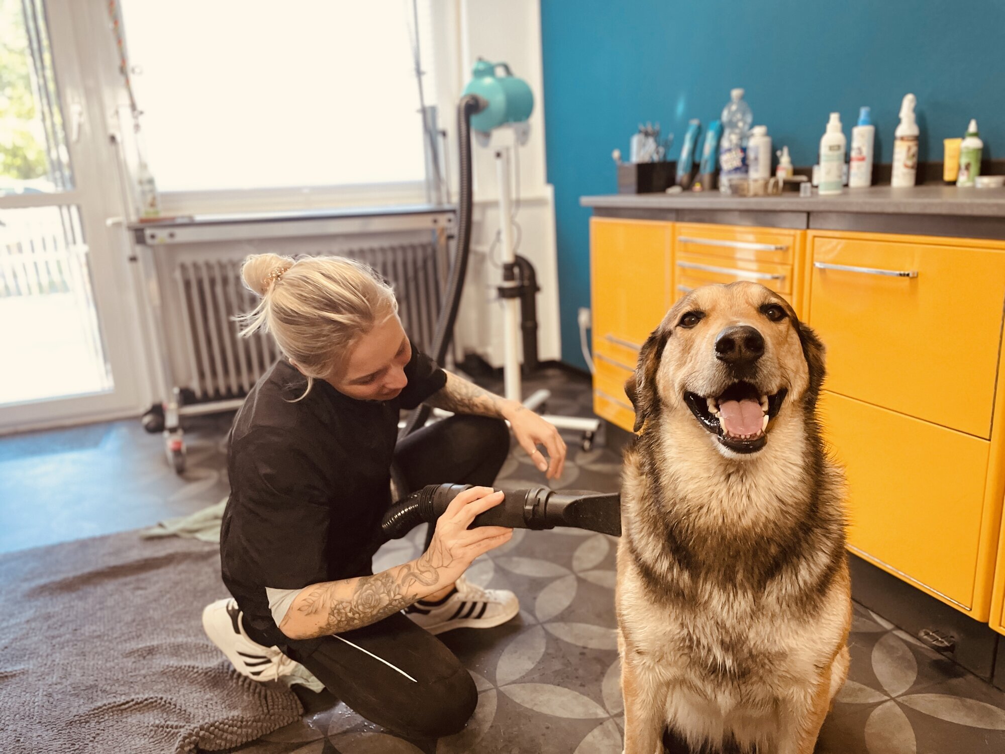 Artgerecht-dogspa, Gereonstraße 10 in Willich