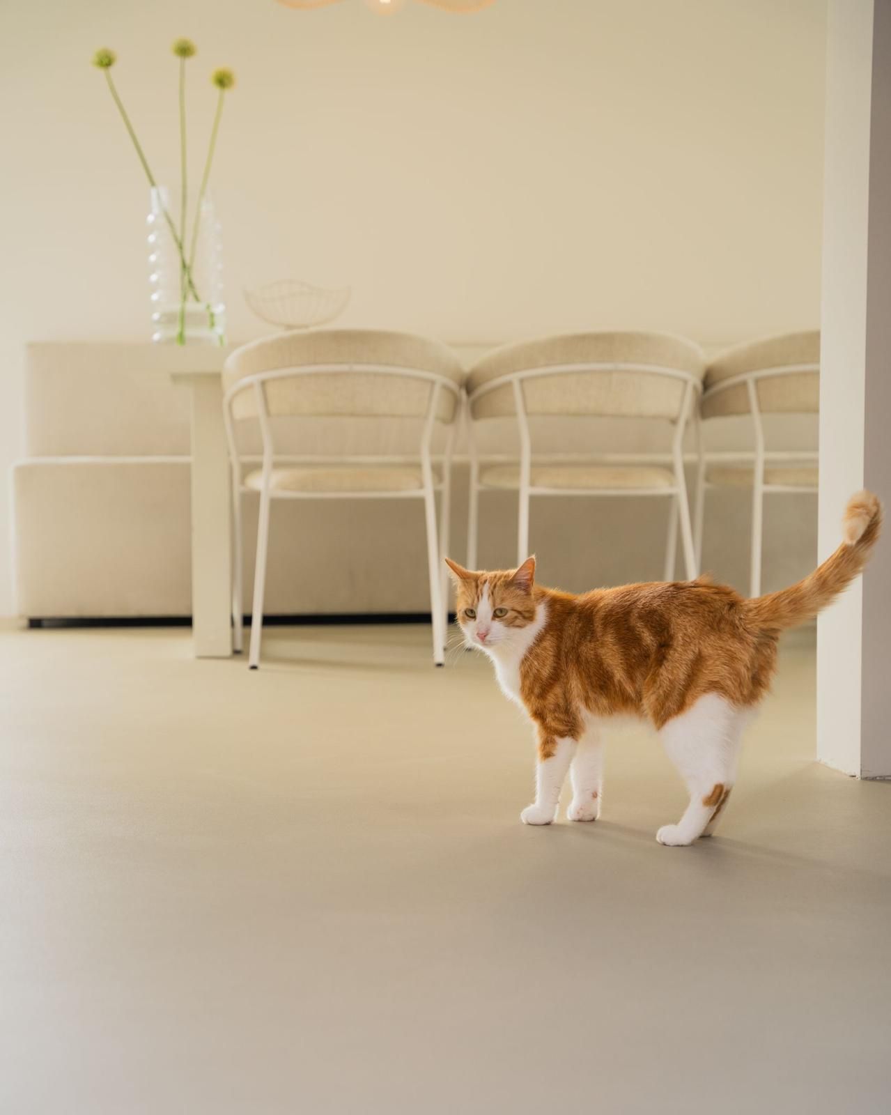 Ewig Bau GmbH, Marienstr. 18 in Hanau