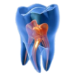 Temple Endodontics Logo