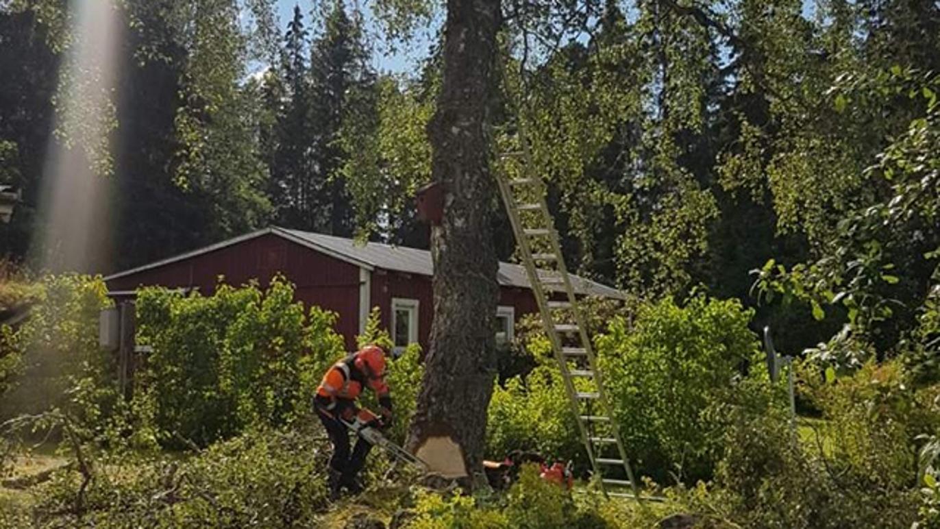 Images Rokvists Trädgårdsservice AB